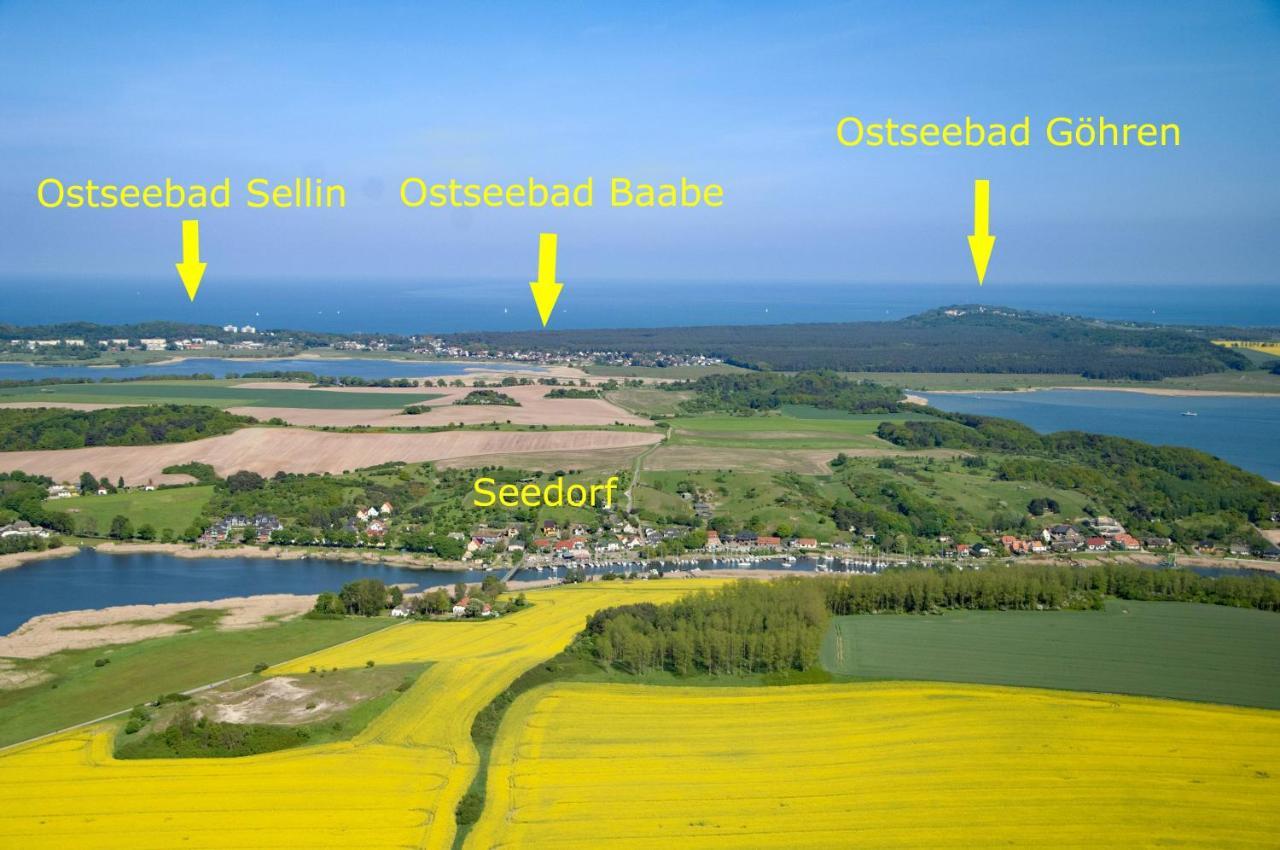 Ostseebad Sellin - Ot Seedorf Appartement Mit Seeblick Dış mekan fotoğraf